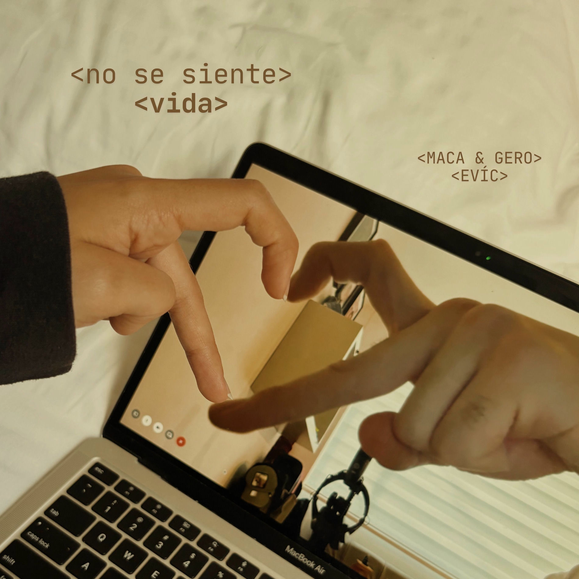 Album cover of No Se Siente Vida