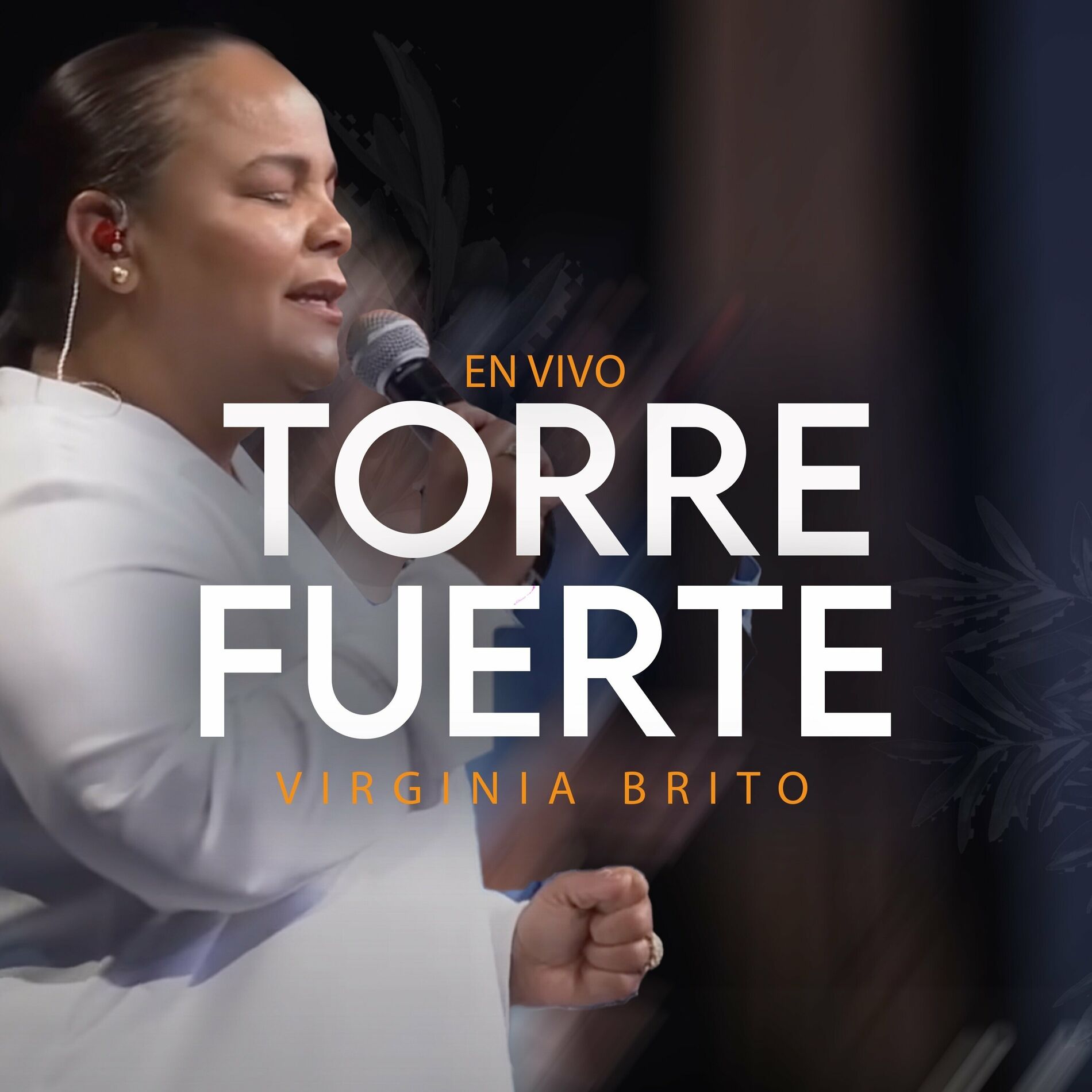 Album cover of Torre Fuerte