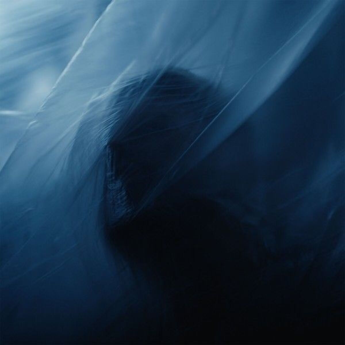 Album cover of Night Terror