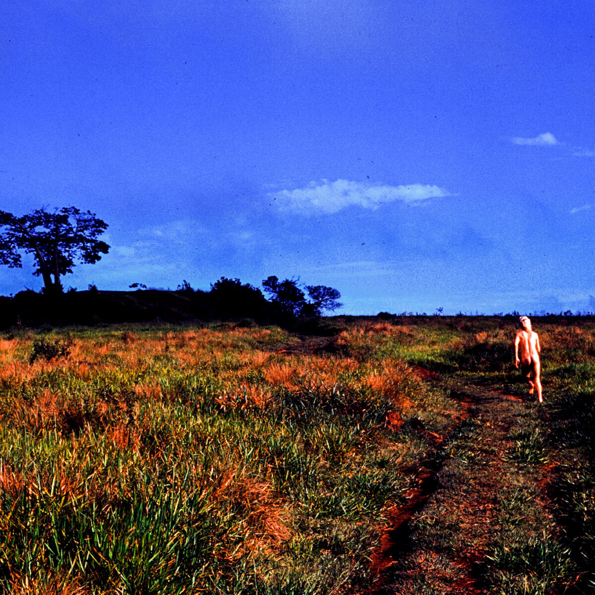 Album cover of Leite