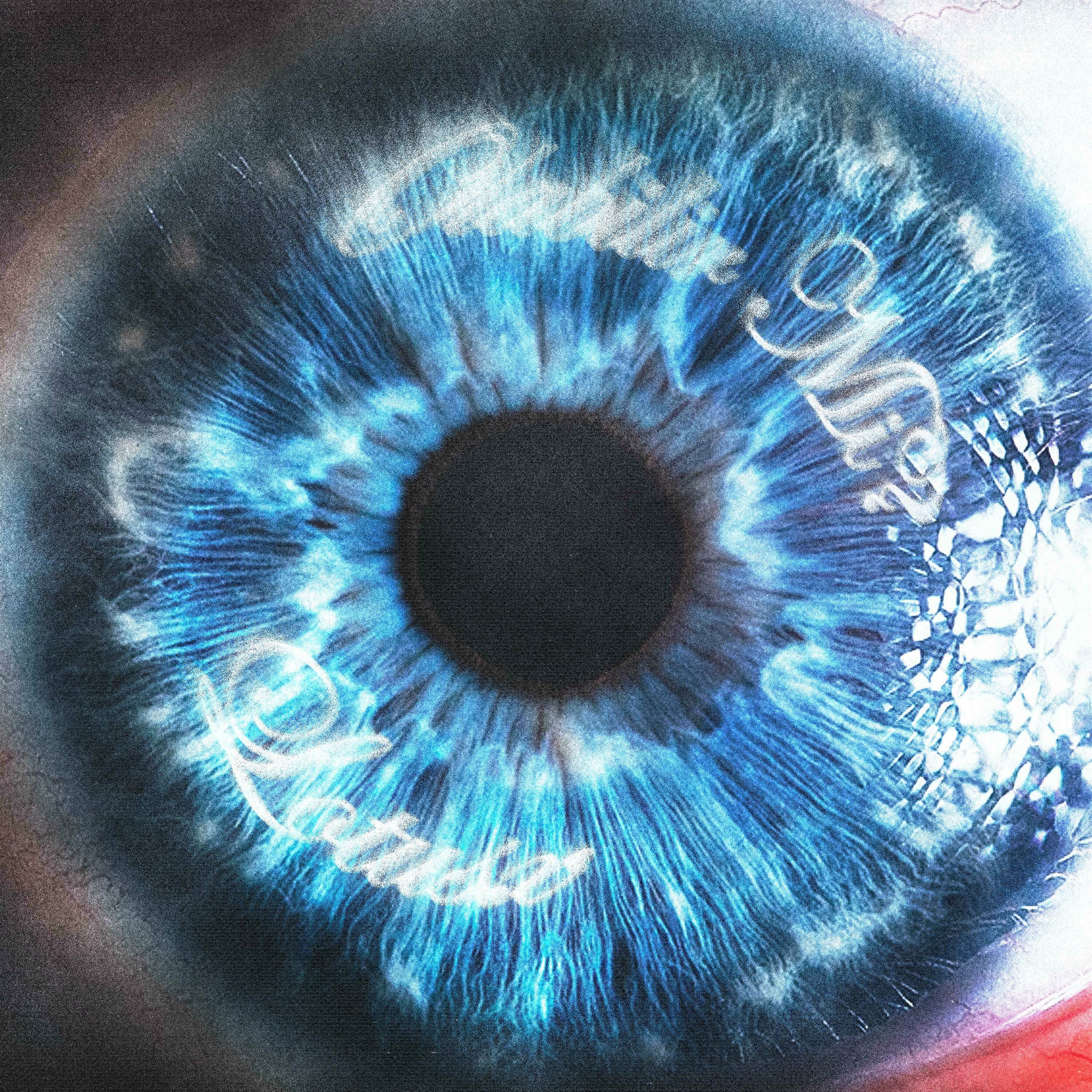 Album cover of Olabilir Mi?
