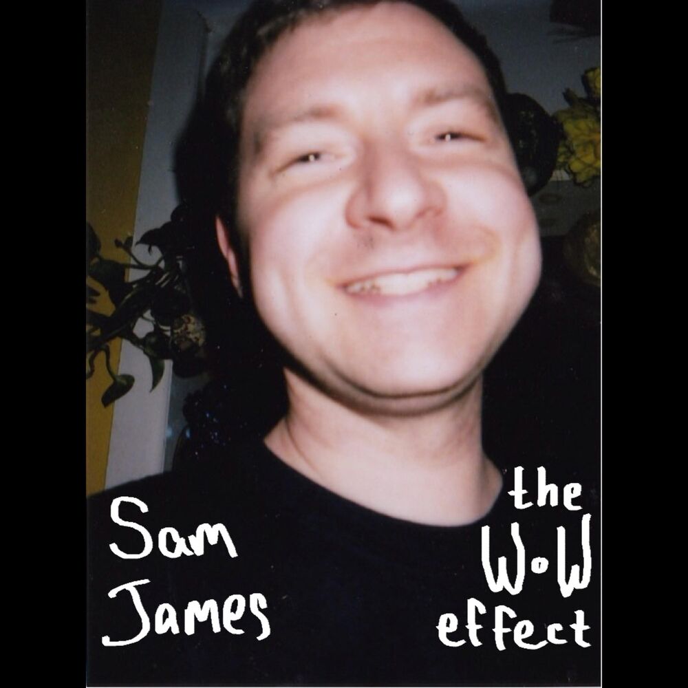 Picture of The Wow Effect
