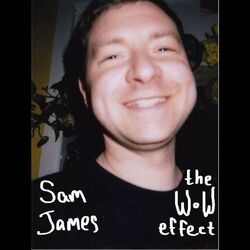 Cover of The Wow Effect