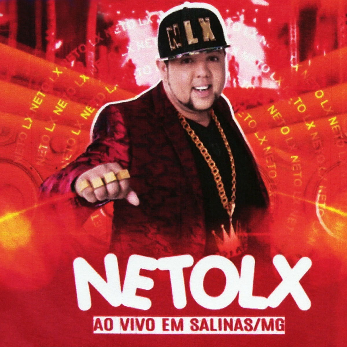 Album cover of Neto LX (Ao Vivo em Salinas / MG)