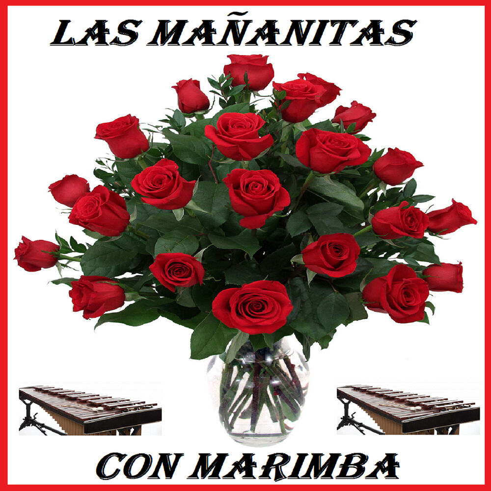 Picture of Con Marimba