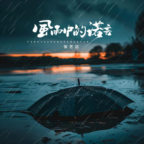 风雨中的诺言 (Dj京仔版)