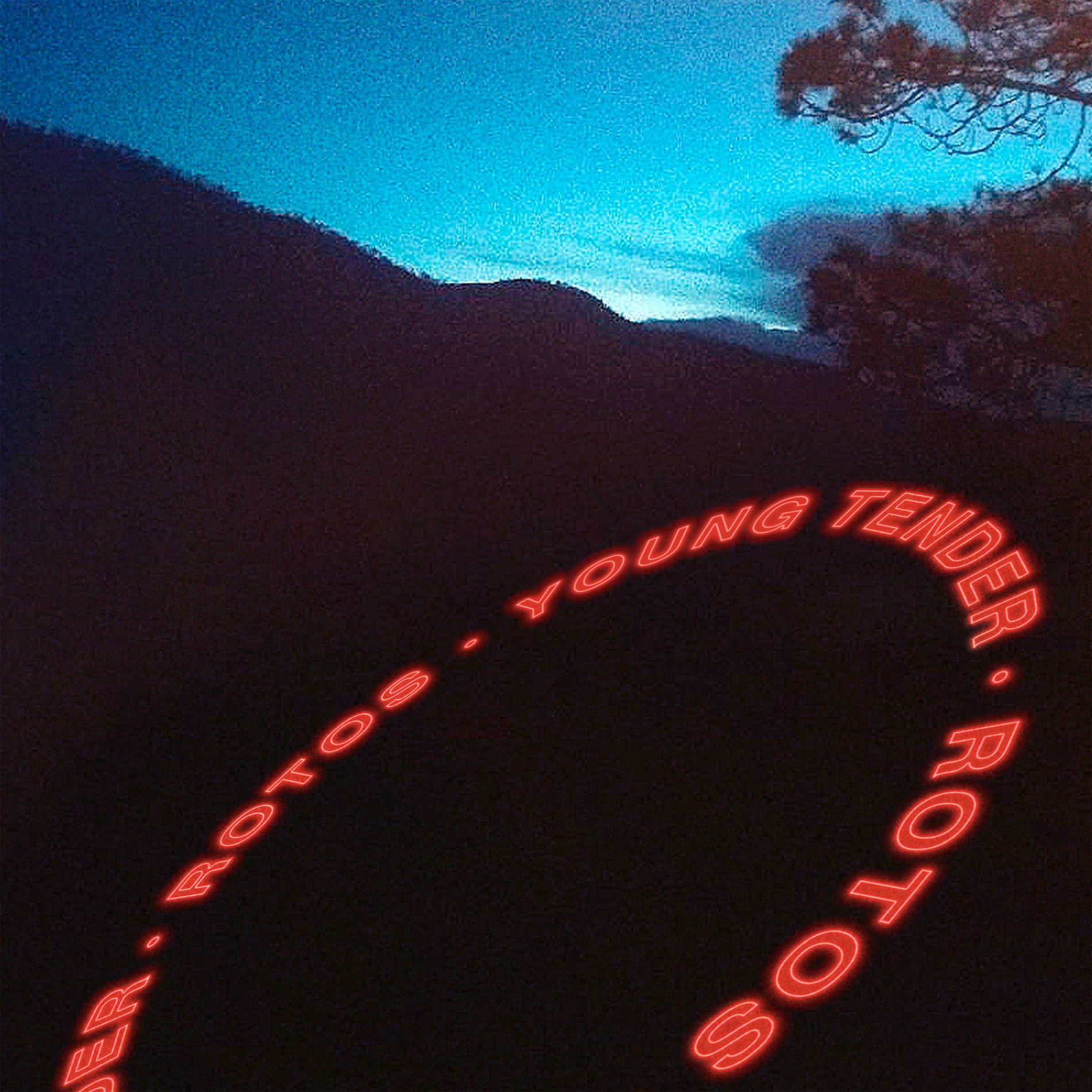 Album cover of Tokyo