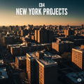 NEW YORK PROJECTS