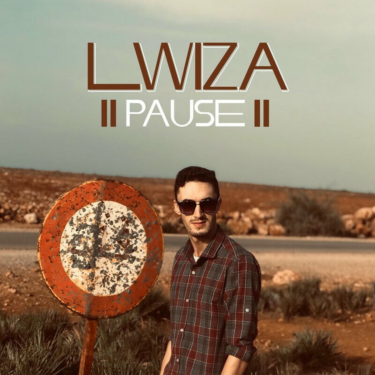 Album cover of Lwiza
