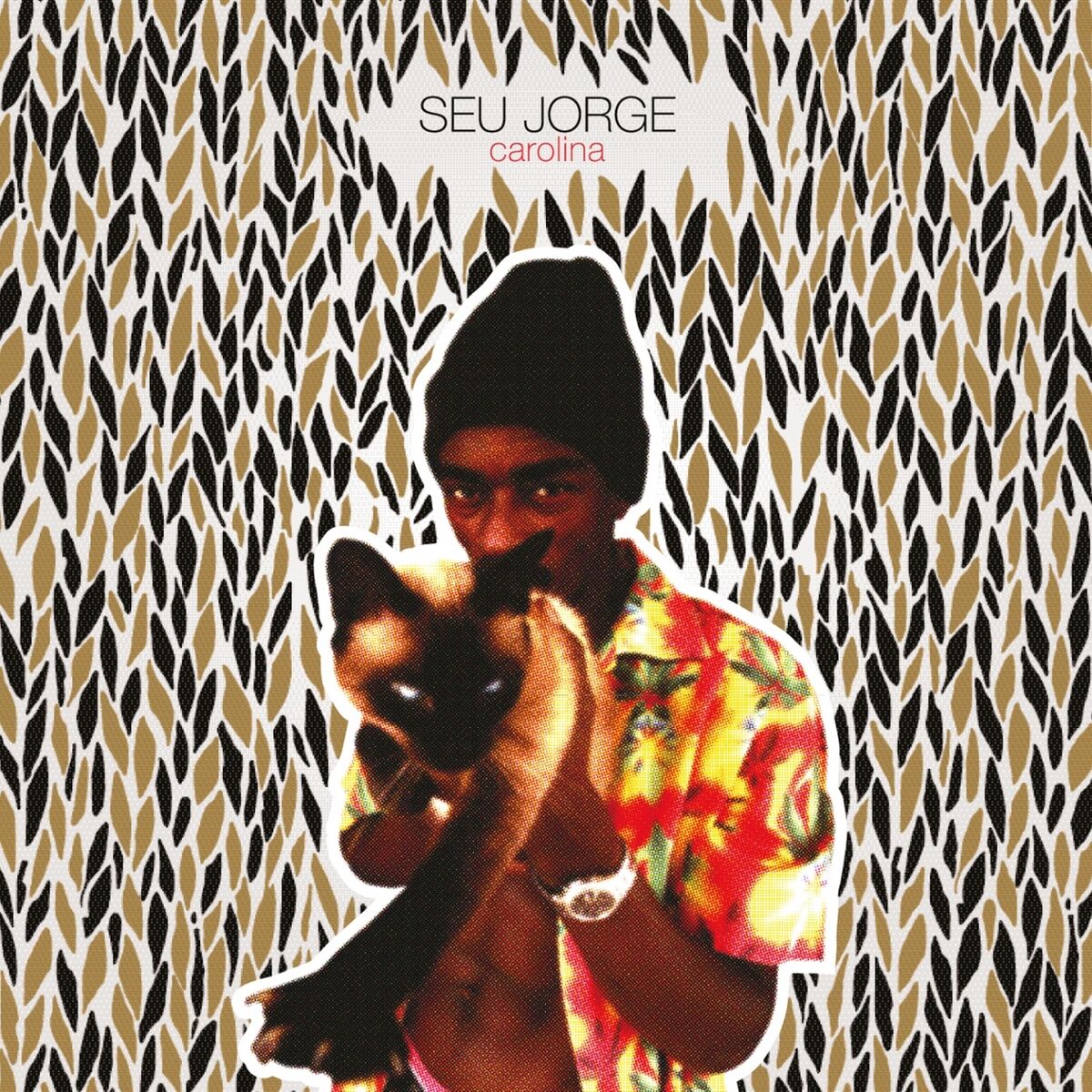 Album cover of Carolina