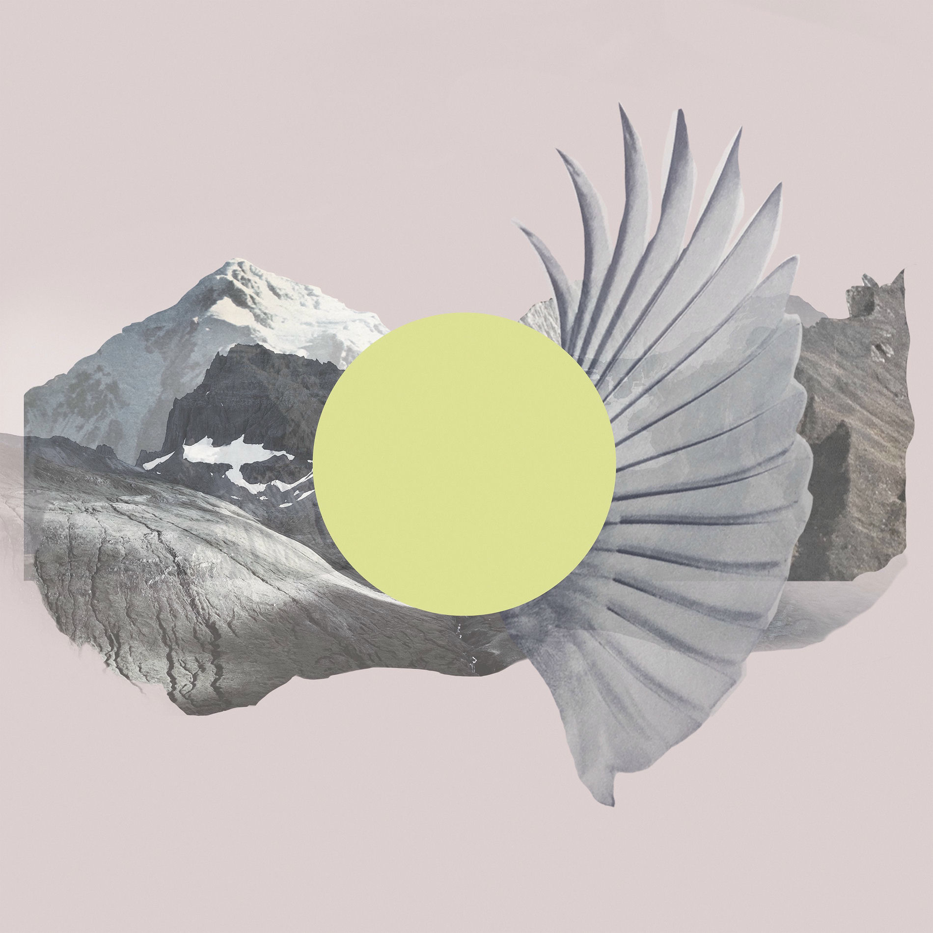 Album cover of Before & After Hollywood