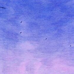 Cover of In My Dreams (I'm A Bird And I'm Free)