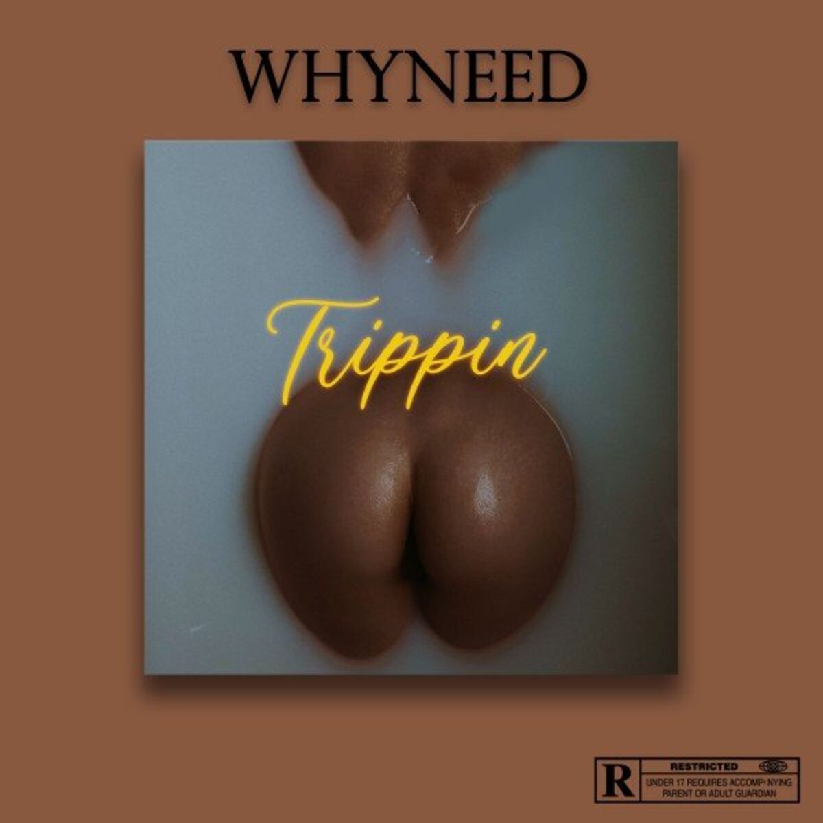 Album cover of Trippin