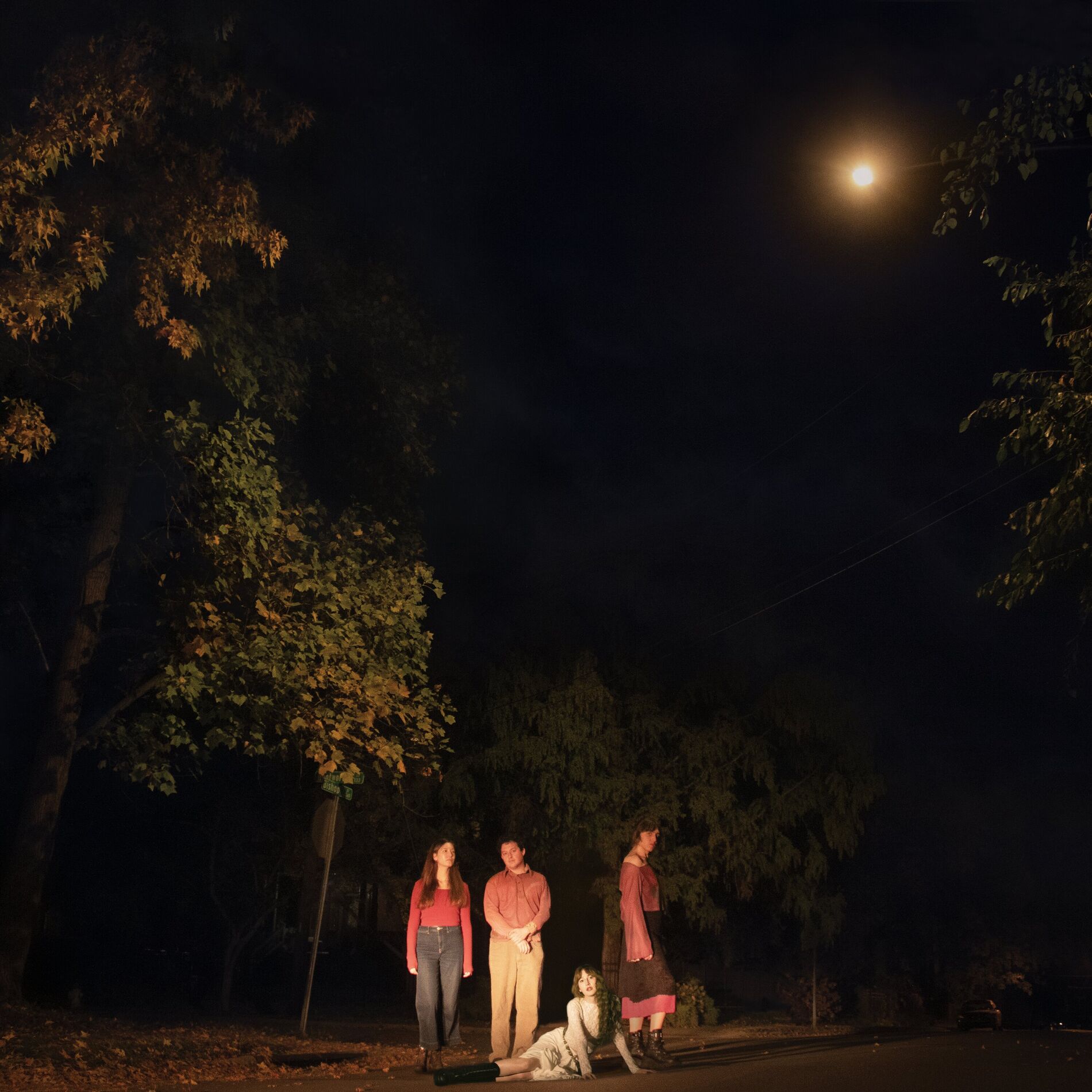 Album cover of Spring Grove