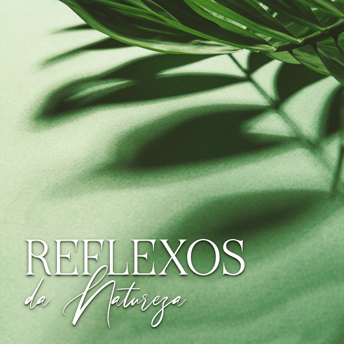 Album cover of Reflexos da Natureza: Arte do Relaxamento, Música Zen para Equilíbrio Interior e Alívio do Estresse
