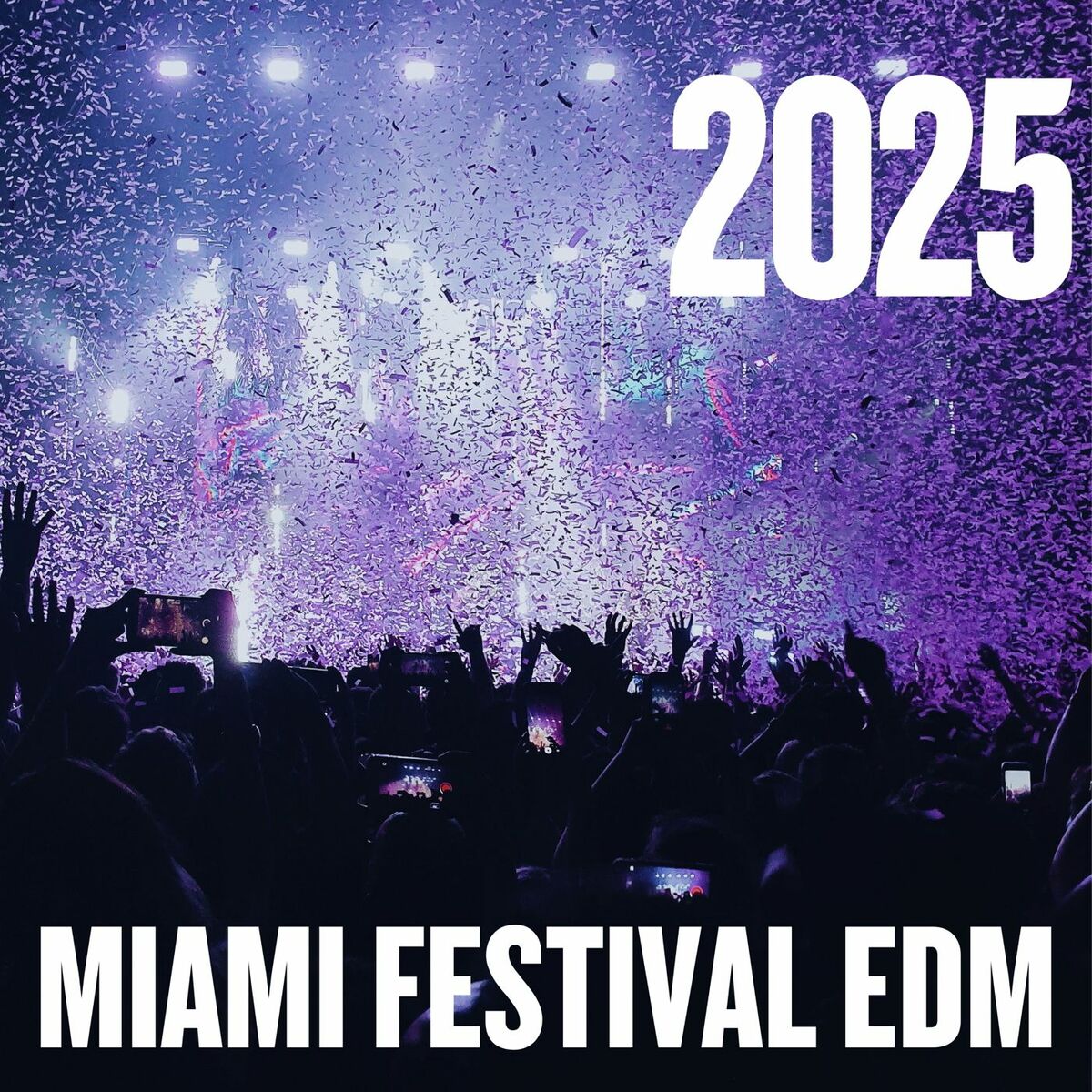 Album cover of Miami Festival EDM 2025