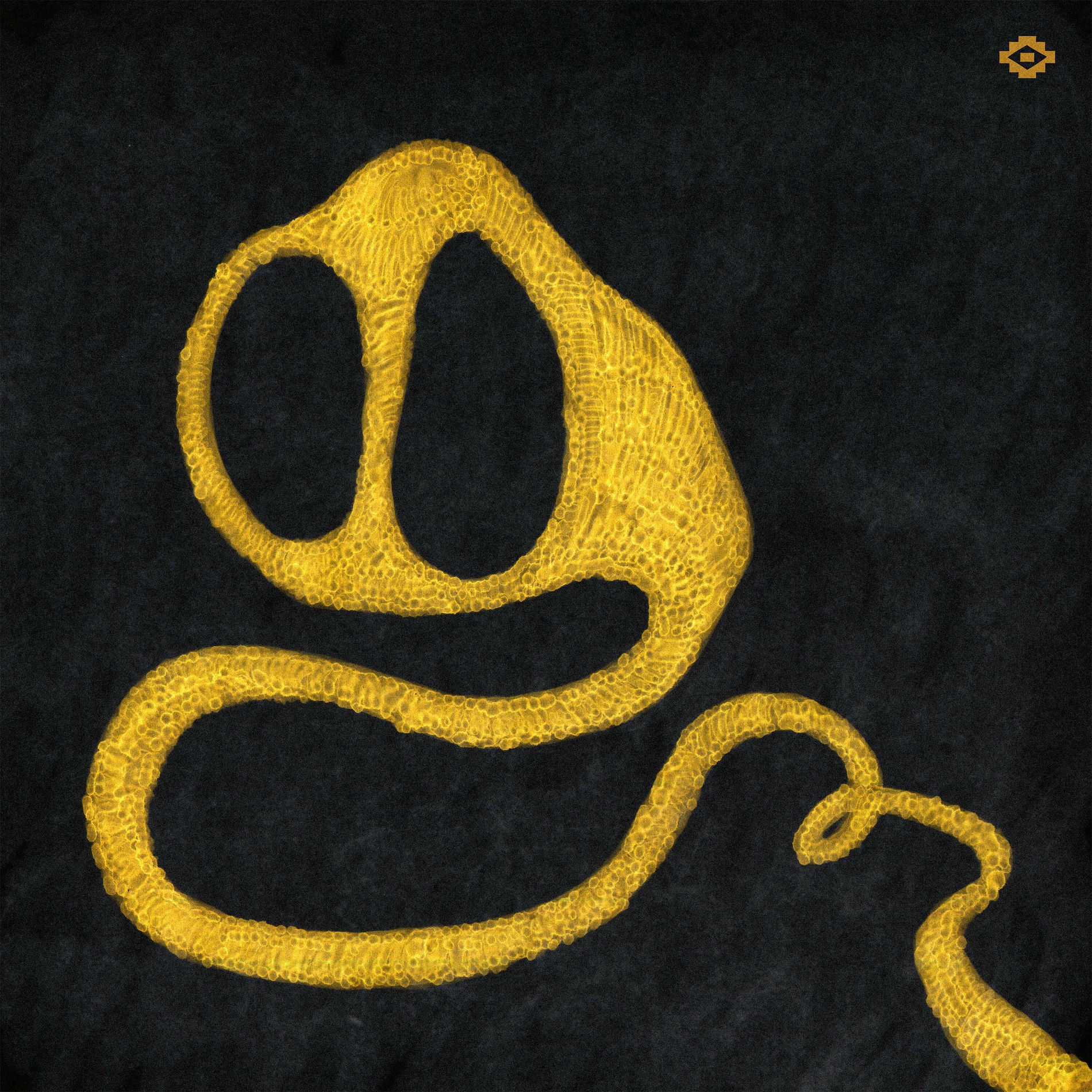 Album cover of Hathi