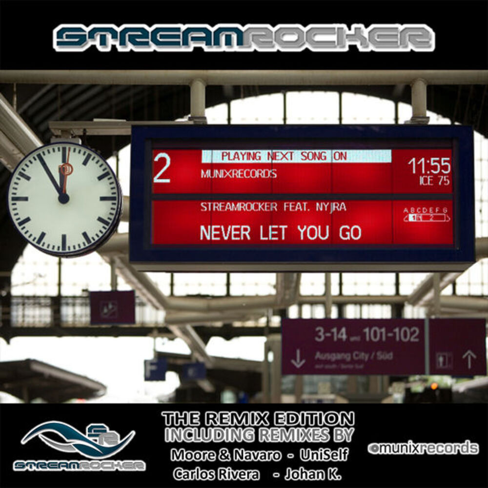 Picture of Never Let You Go (The Remix Edition)