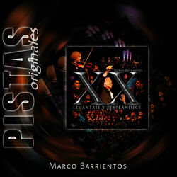 Cover of Levántate y Resplandece Pistas