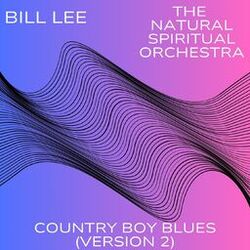 Cover of Country Boy Blues (Version 2)