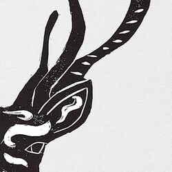 Cover of Who Am I