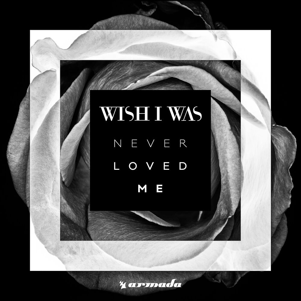 Picture of Never Loved Me