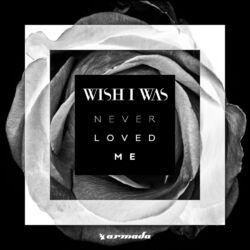 Cover of Never Loved Me