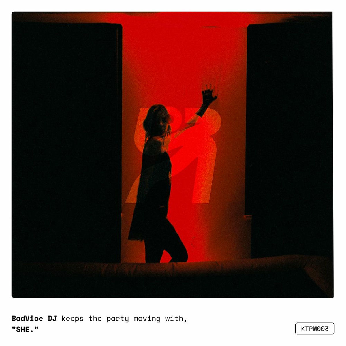 Album cover of SHE.