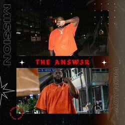 Cover of The Answer