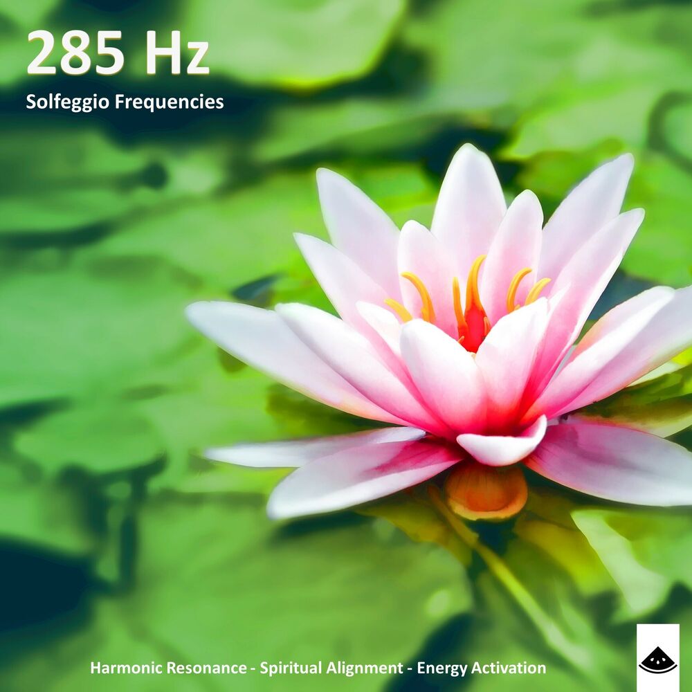 Picture of 285 Hz - Harmonic Balance