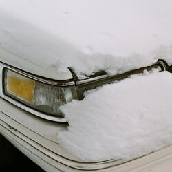 Cover of winter_bumps 003