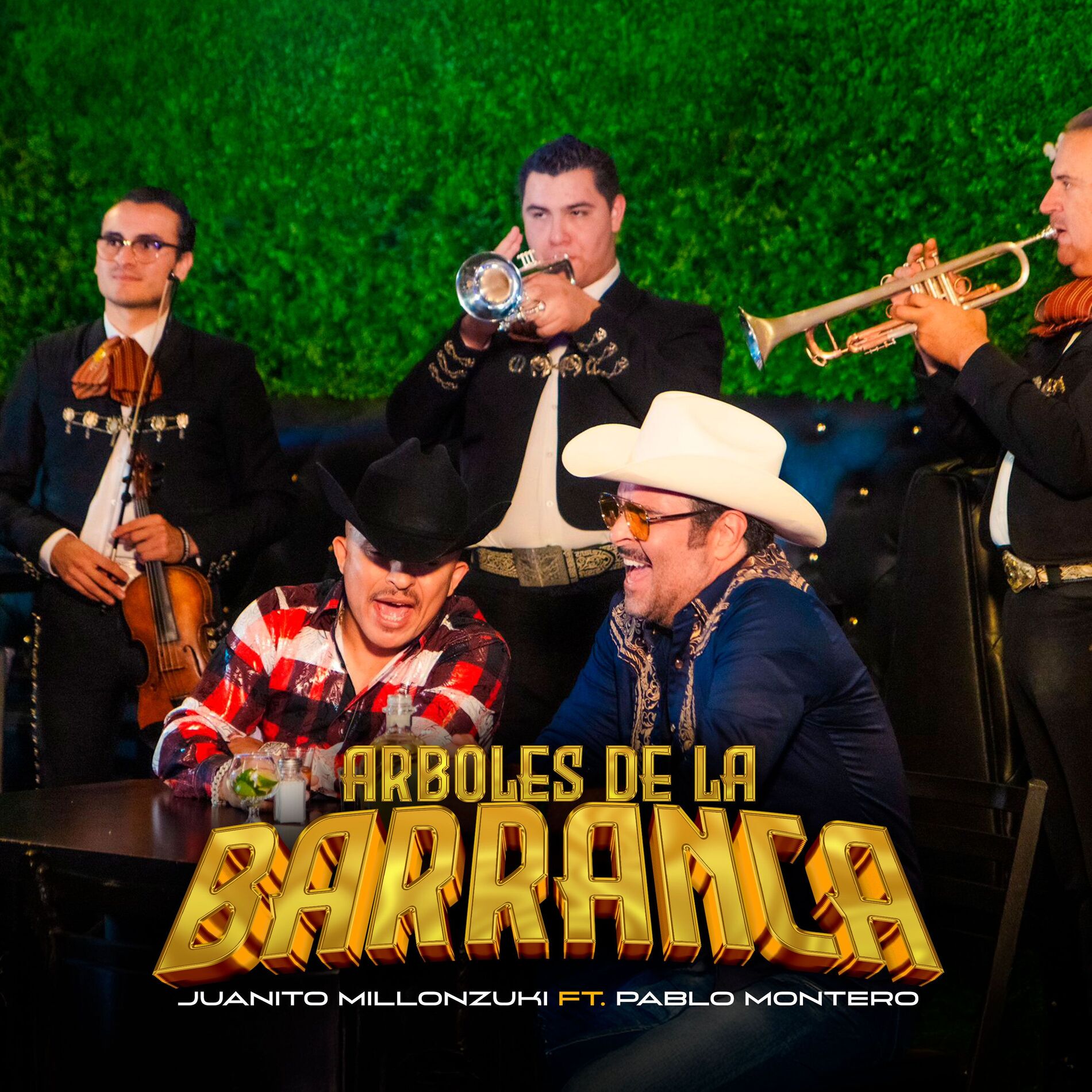 Album cover of Árboles de la Barranca