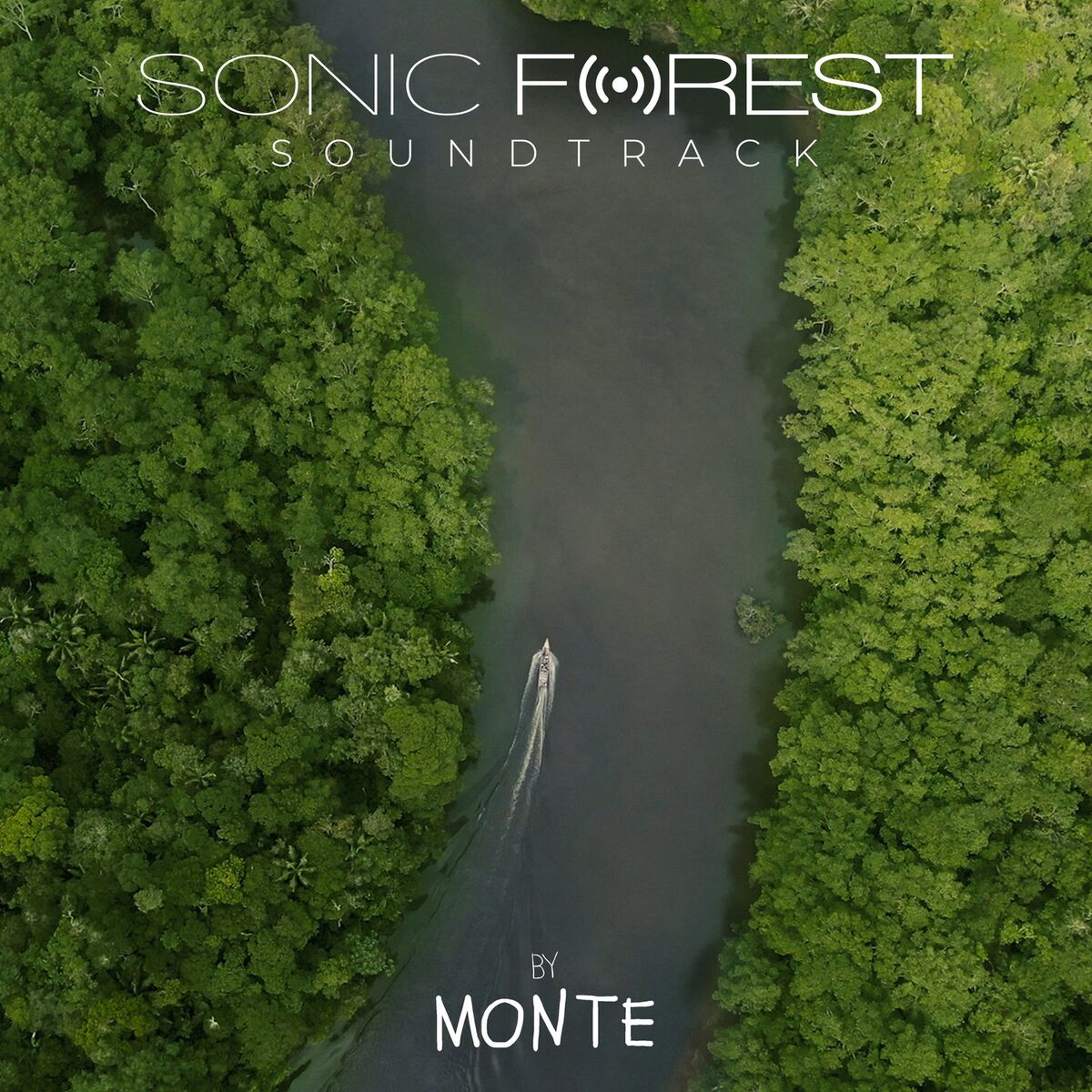 Album cover of Sonic Forest