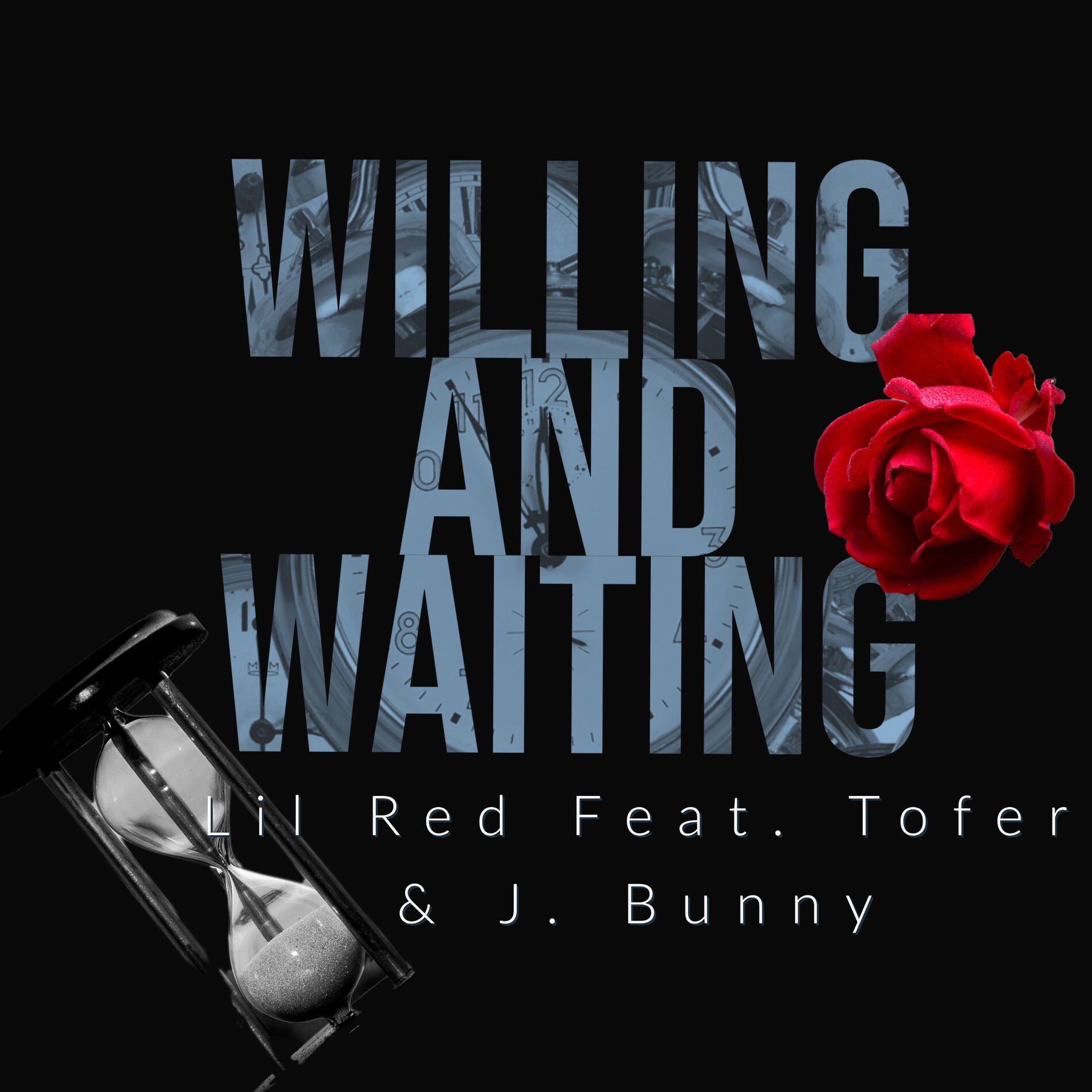 Album cover of Willing and Waiting
