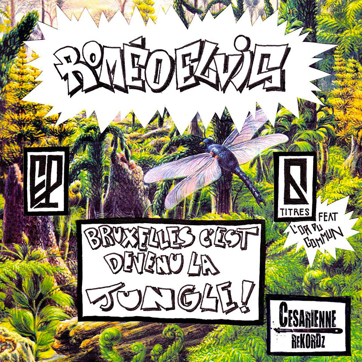 Album cover of Schaerabeek (feat. Loxley)