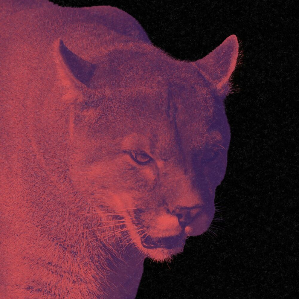 Picture of LOS PUMAS