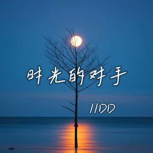 时光的对手