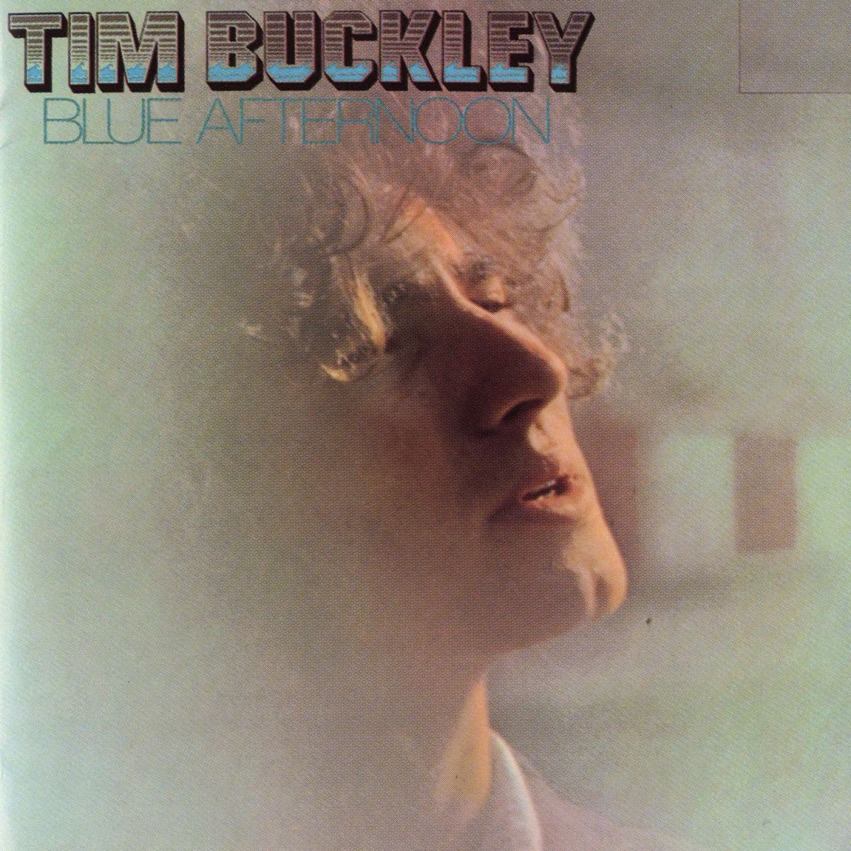 Album cover of Blue Afternoon