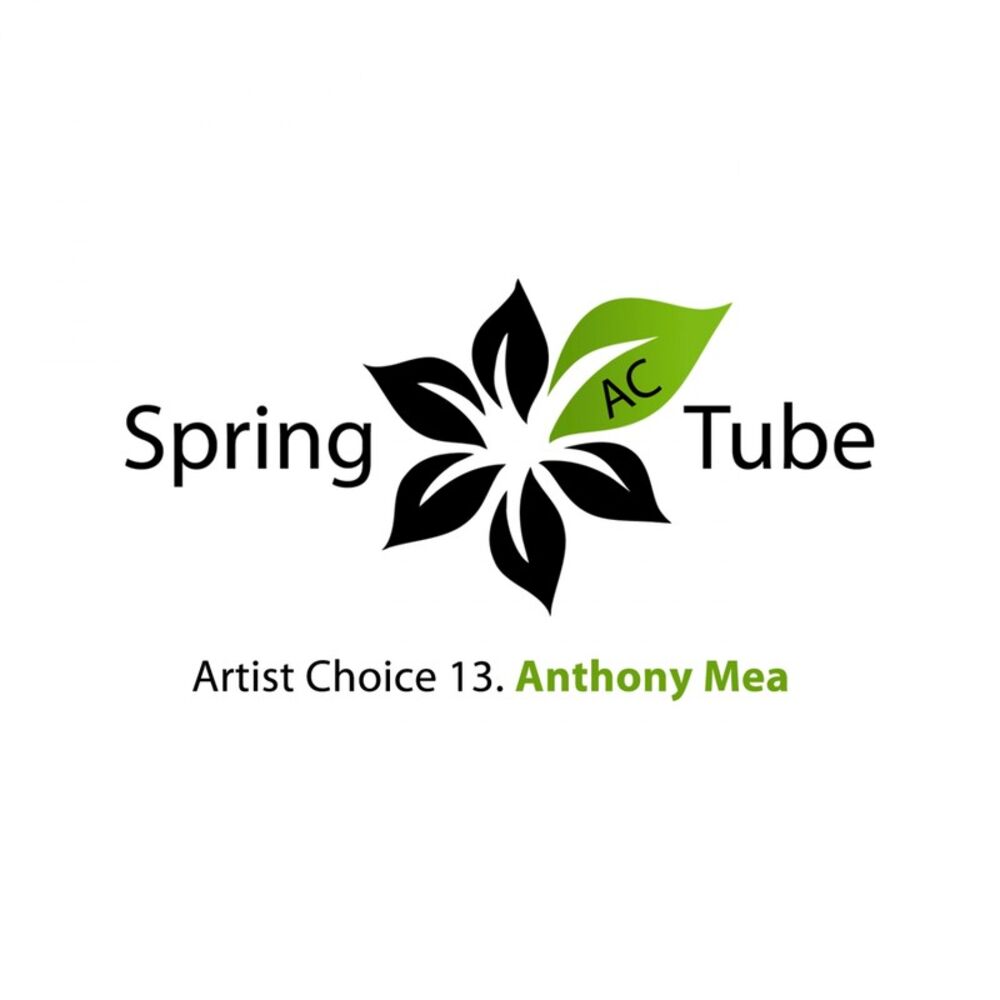 Picture of Artist Choice 013. Anthony Mea