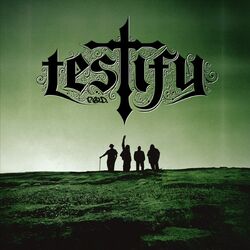 Cover of Testify