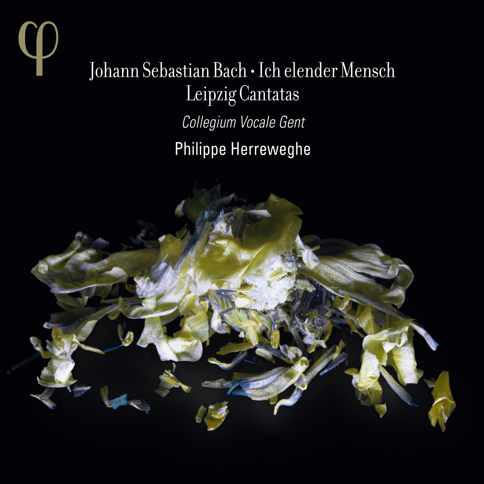 Album cover of Bach: Ich elender Mensch & Leipzig Cantatas