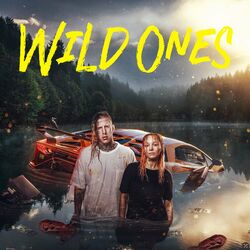 Cover of Wild Ones