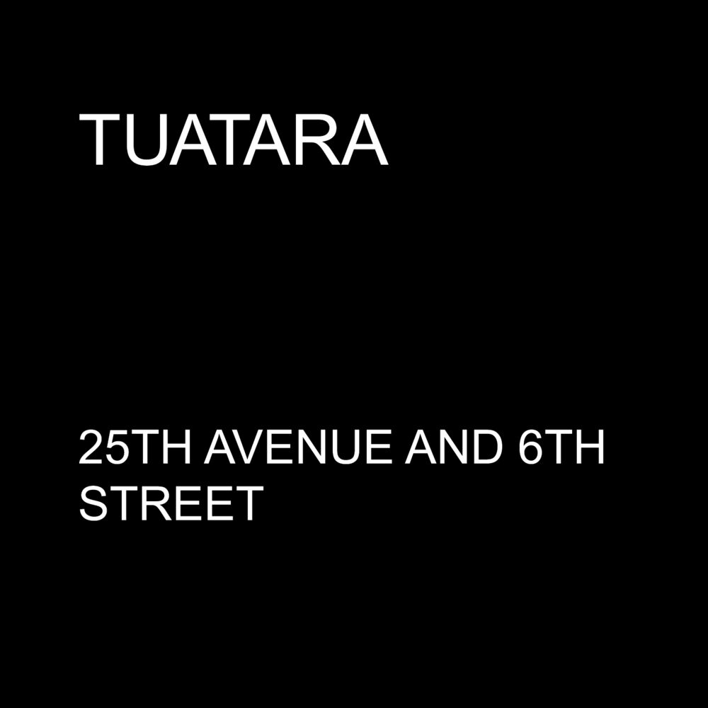 Picture of 25th Avenue and 6th Street - Single
