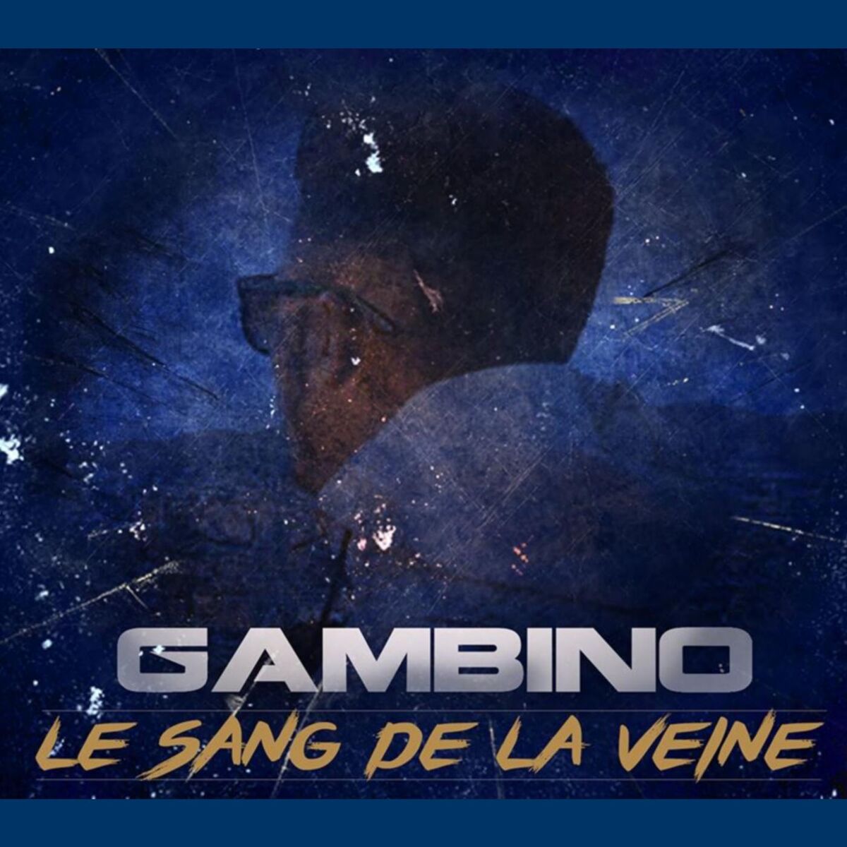 Album cover of Le Sang de la veine