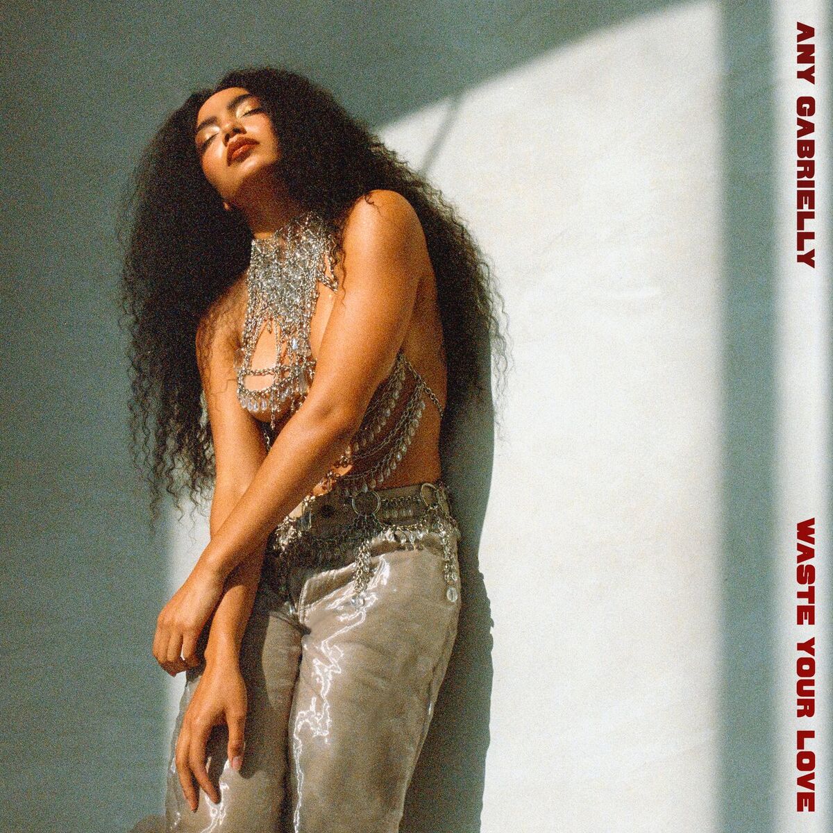 Album cover of Waste Your Love