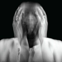 Cover of Chrysalis
