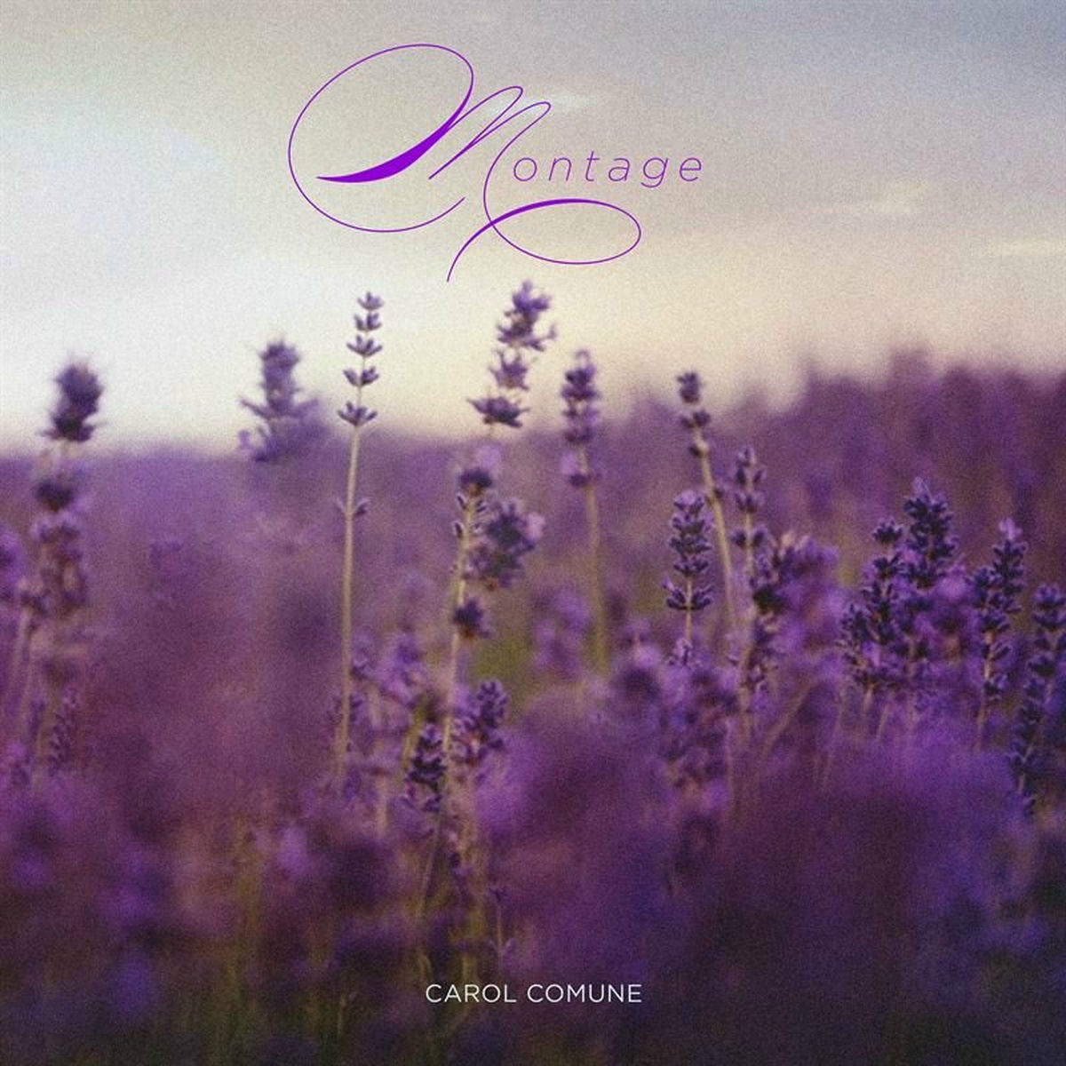 Album cover of Montage