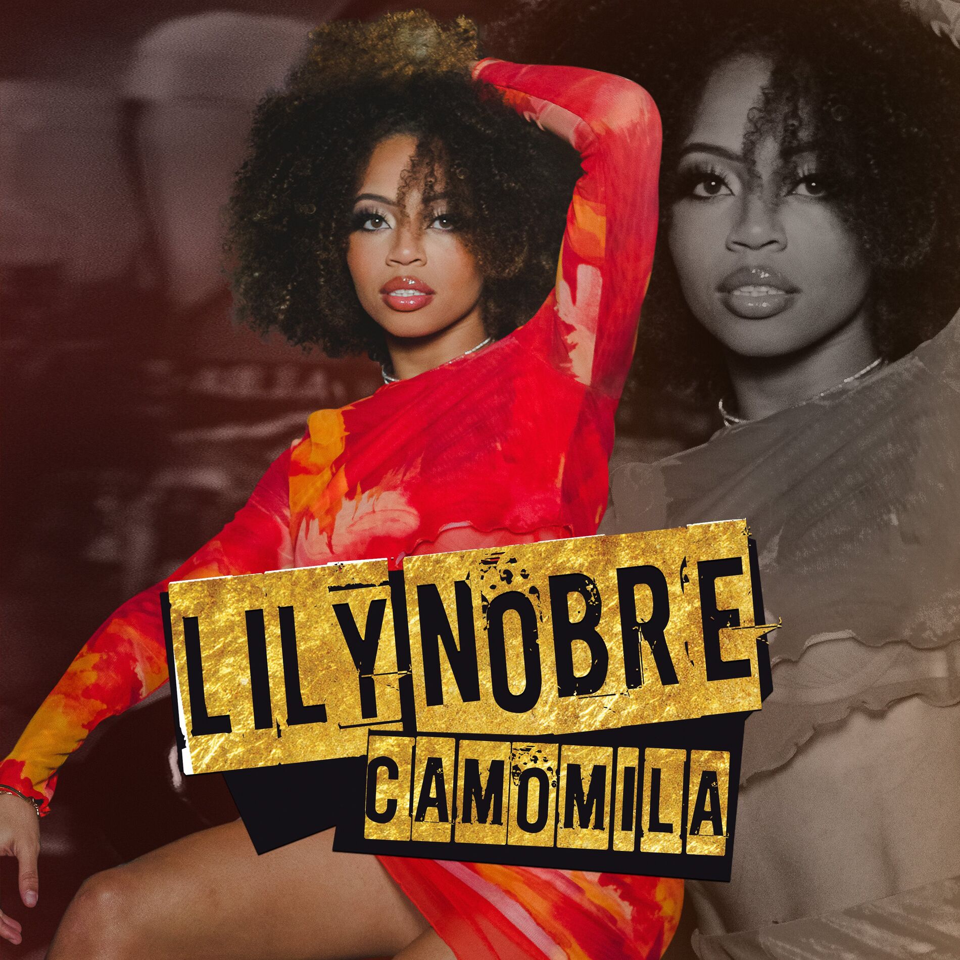 Album cover of Camomila
