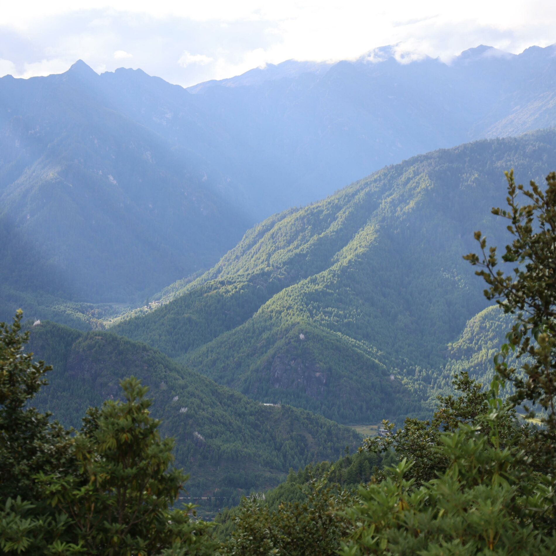 Album cover of Om Tare (feat. Ben Leinbach)
