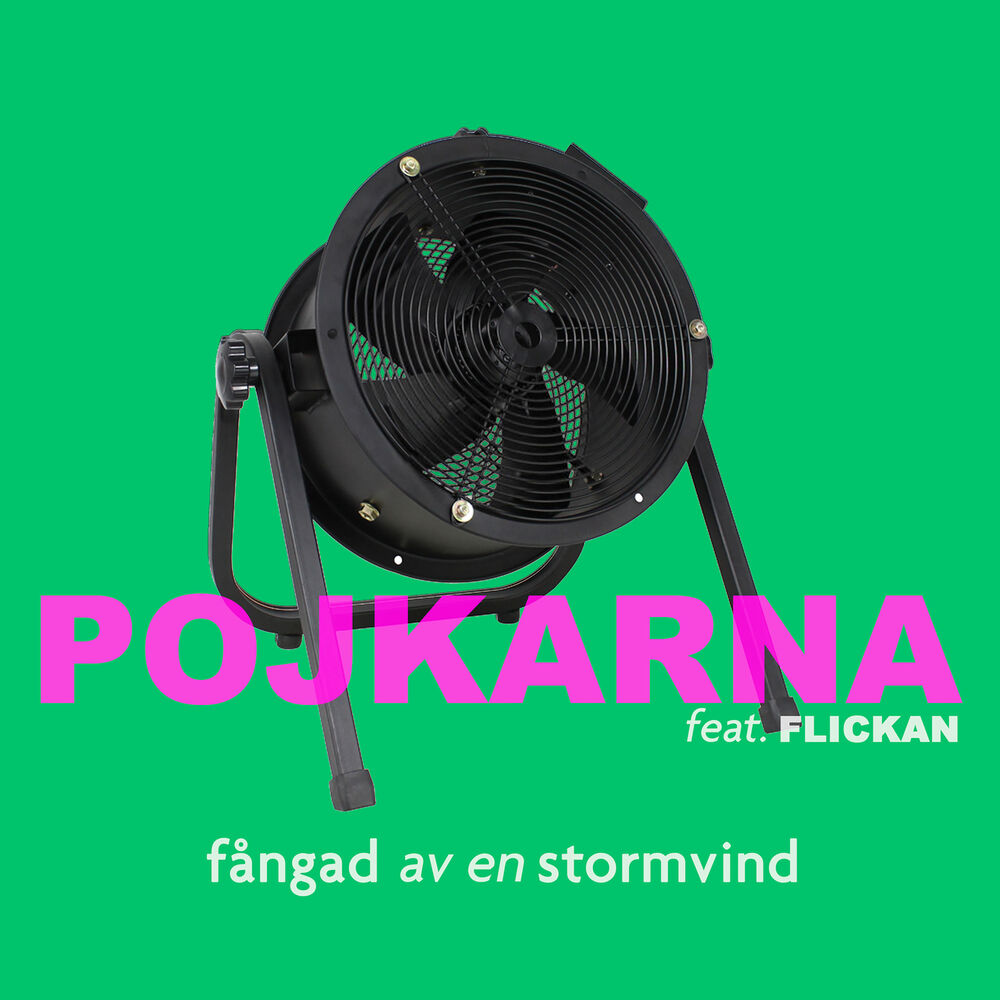 Picture of Fångad Av En Stormvind